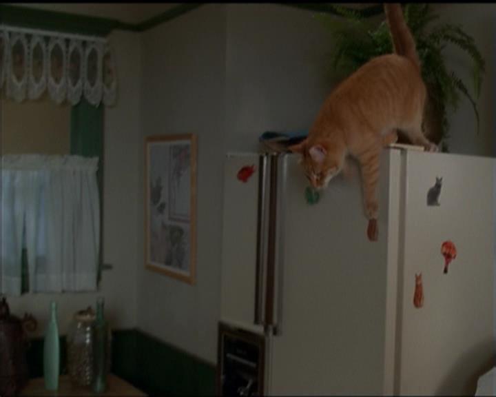 Charmed-Online-dot-518CatHouse0003.jpg Charmed-Online-dot-518CatHouse0003.jpg