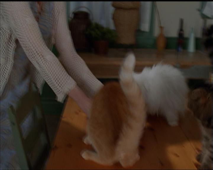 Charmed-Online-dot-518CatHouse0009.jpg Charmed-Online-dot-518CatHouse0009.jpg