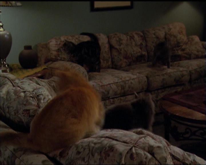 Charmed-Online-dot-518CatHouse0016.jpg