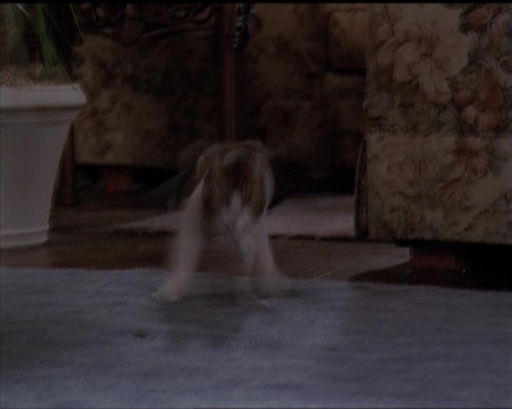 Charmed-Online-dot-518CatHouse0048.jpg Charmed-Online-dot-518CatHouse0048.jpg