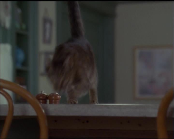 Charmed-Online-dot-518CatHouse0049.jpg Charmed-Online-dot-518CatHouse0049.jpg