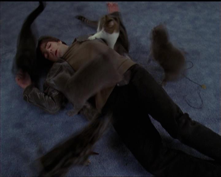 Charmed-Online-dot-518CatHouse0050.jpg Charmed-Online-dot-518CatHouse0050.jpg