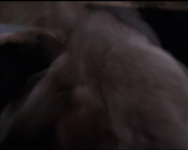 Charmed-Online-dot-518CatHouse0055.jpg Charmed-Online-dot-518CatHouse0055.jpg