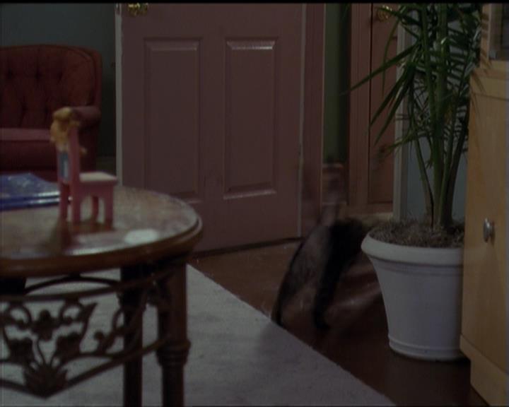 Charmed-Online-dot-518CatHouse0062.jpg Charmed-Online-dot-518CatHouse0062.jpg