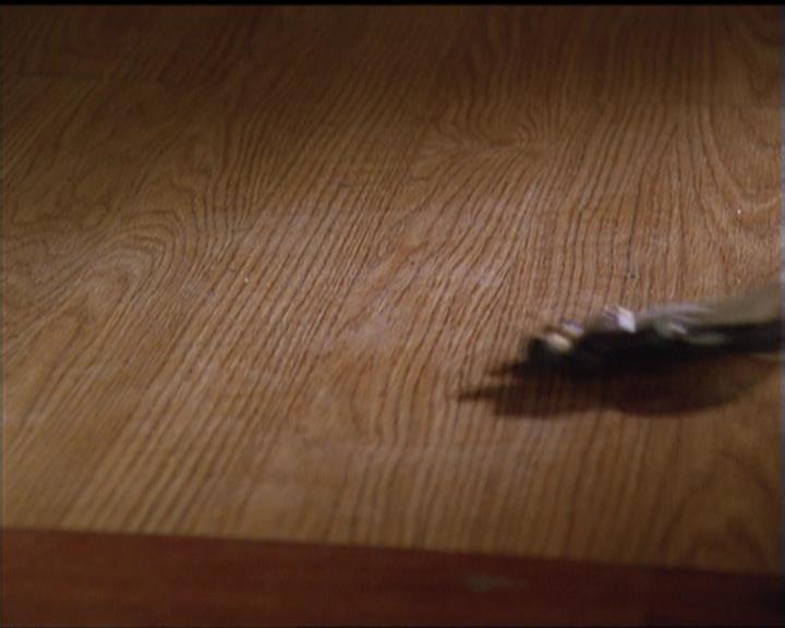 Charmed-Online-dot-518CatHouse1150.jpg Charmed-Online-dot-518CatHouse1150.jpg