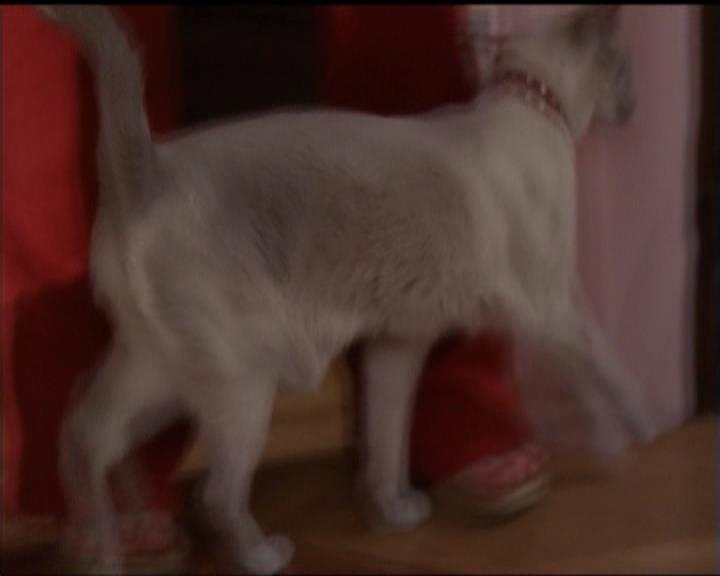 Charmed-Online-dot-518CatHouse1248.jpg Charmed-Online-dot-518CatHouse1248.jpg