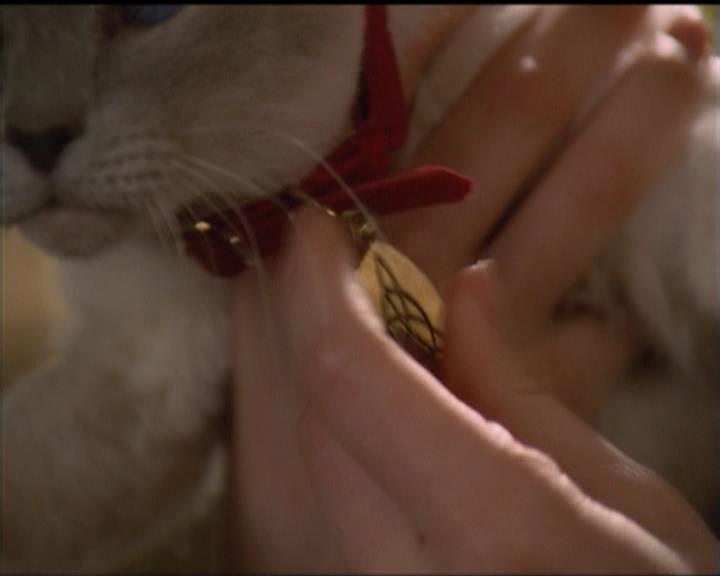 Charmed-Online-dot-518CatHouse1251.jpg Charmed-Online-dot-518CatHouse1251.jpg