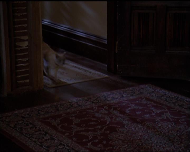 Charmed-Online-dot-518CatHouse1524.jpg Charmed-Online-dot-518CatHouse1524.jpg