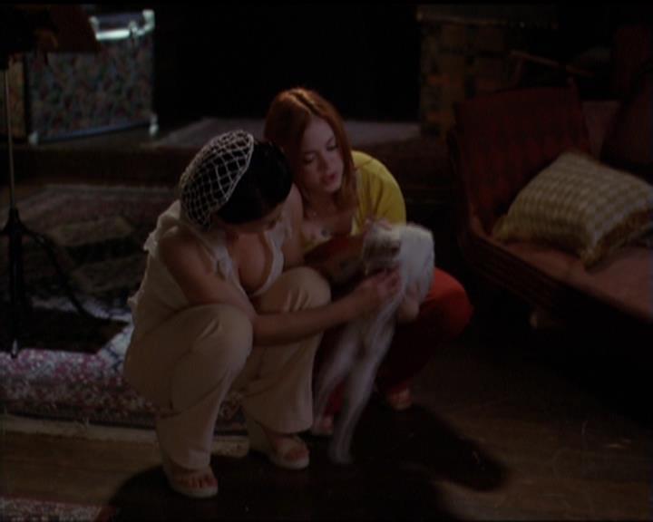 Charmed-Online-dot-518CatHouse1548.jpg