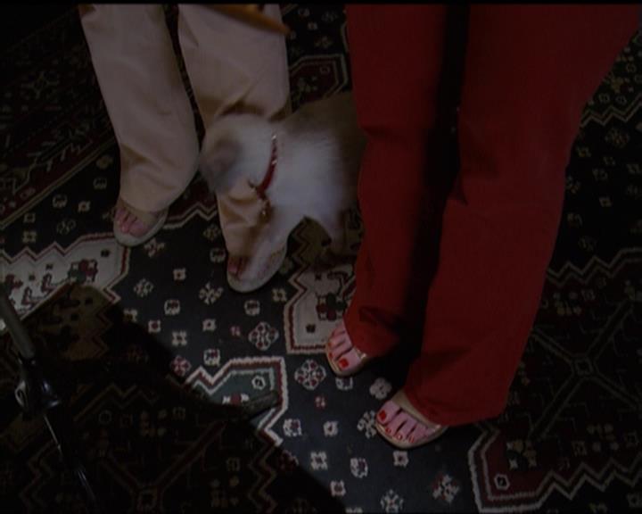 Charmed-Online-dot-518CatHouse1581.jpg Charmed-Online-dot-518CatHouse1581.jpg