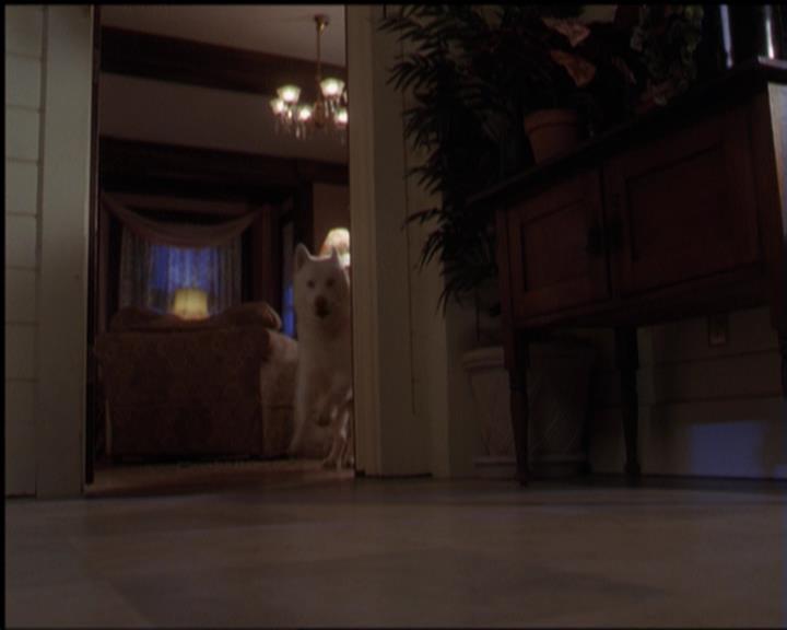 Charmed-Online-dot-518CatHouse1777.jpg Charmed-Online-dot-518CatHouse1777.jpg