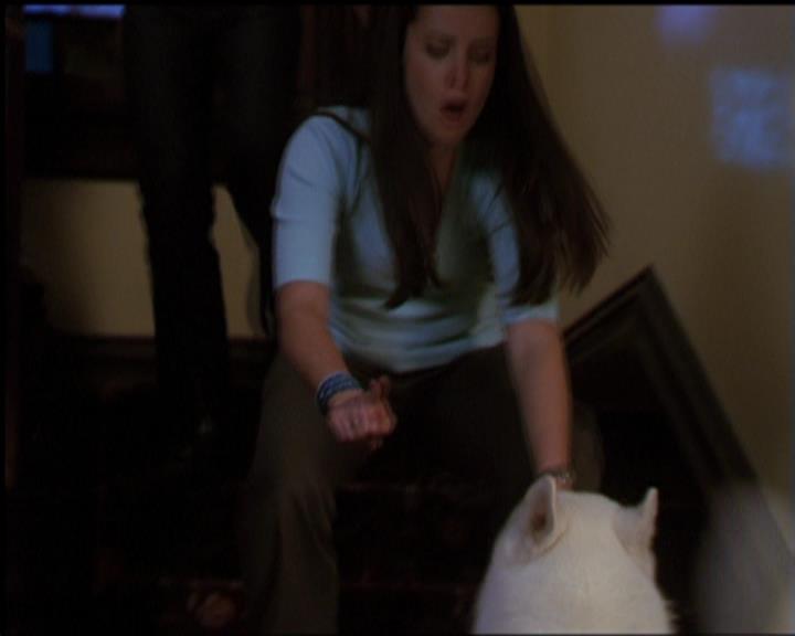 Charmed-Online-dot-518CatHouse1790.jpg Charmed-Online-dot-518CatHouse1790.jpg