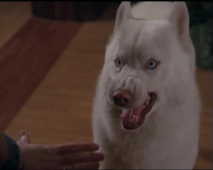 Charmed-Online-dot-518CatHouse1795.jpg Charmed-Online-dot-518CatHouse1795.jpg