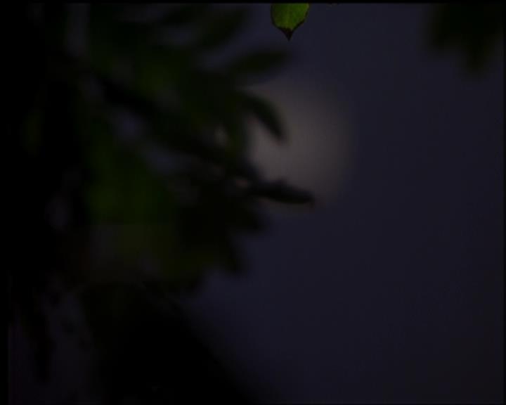 Charmed-Online-dot-519NymphsJustWantToHaveFun0001.jpg Charmed-Online-dot-519NymphsJustWantToHaveFun0001.jpg