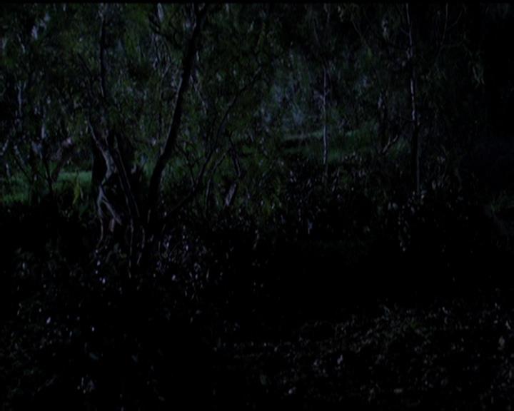 Charmed-Online-dot-519NymphsJustWantToHaveFun0071.jpg Charmed-Online-dot-519NymphsJustWantToHaveFun0071.jpg