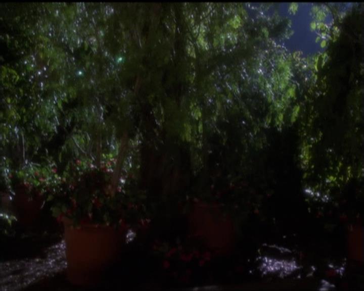 Charmed-Online-dot-519NymphsJustWantToHaveFun1622.jpg Charmed-Online-dot-519NymphsJustWantToHaveFun1622.jpg