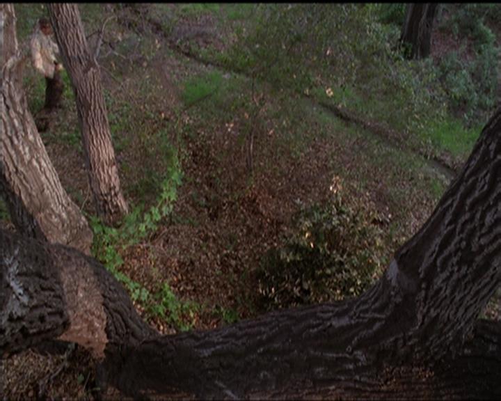 Charmed-Online-dot-519NymphsJustWantToHaveFun1780.jpg Charmed-Online-dot-519NymphsJustWantToHaveFun1780.jpg