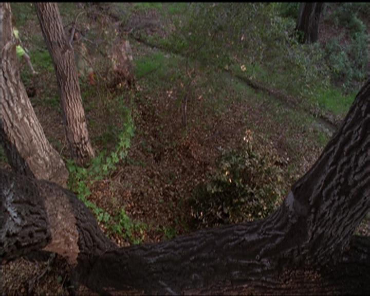 Charmed-Online-dot-519NymphsJustWantToHaveFun1782.jpg Charmed-Online-dot-519NymphsJustWantToHaveFun1782.jpg