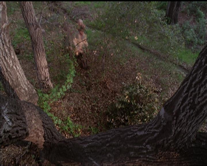 Charmed-Online-dot-519NymphsJustWantToHaveFun1783.jpg Charmed-Online-dot-519NymphsJustWantToHaveFun1783.jpg