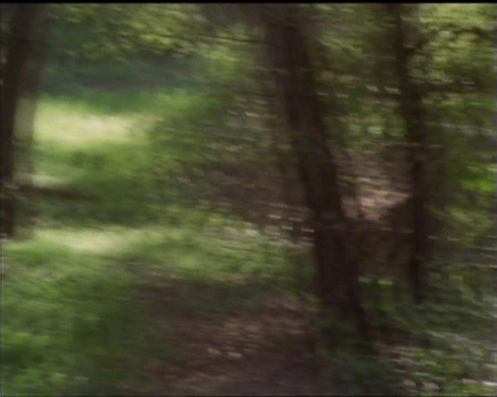 Charmed-Online-dot-519NymphsJustWantToHaveFun2089.jpg Charmed-Online-dot-519NymphsJustWantToHaveFun2089.jpg