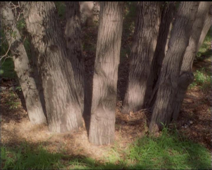 Charmed-Online-dot-519NymphsJustWantToHaveFun2097.jpg Charmed-Online-dot-519NymphsJustWantToHaveFun2097.jpg