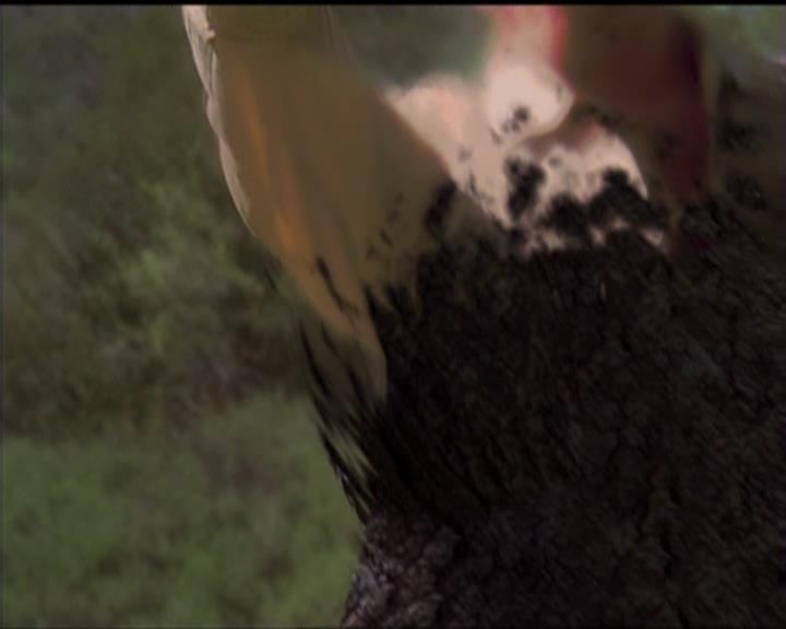 Charmed-Online-dot-519NymphsJustWantToHaveFun2192.jpg Charmed-Online-dot-519NymphsJustWantToHaveFun2192.jpg