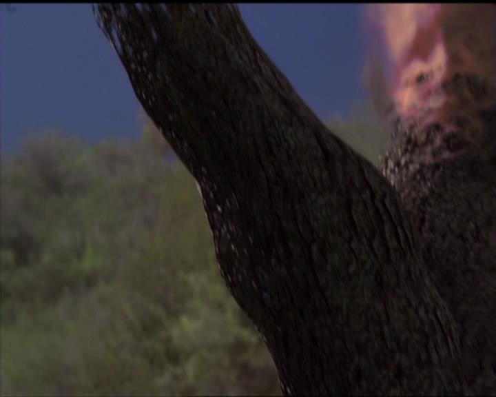 Charmed-Online-dot-519NymphsJustWantToHaveFun2193.jpg Charmed-Online-dot-519NymphsJustWantToHaveFun2193.jpg