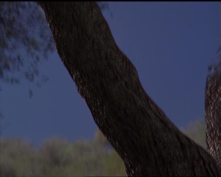 Charmed-Online-dot-519NymphsJustWantToHaveFun2194.jpg Charmed-Online-dot-519NymphsJustWantToHaveFun2194.jpg