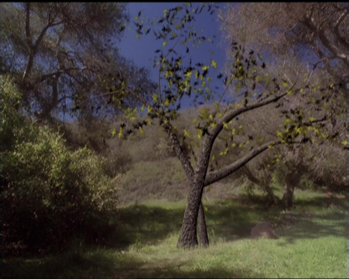 Charmed-Online-dot-519NymphsJustWantToHaveFun2195.jpg Charmed-Online-dot-519NymphsJustWantToHaveFun2195.jpg