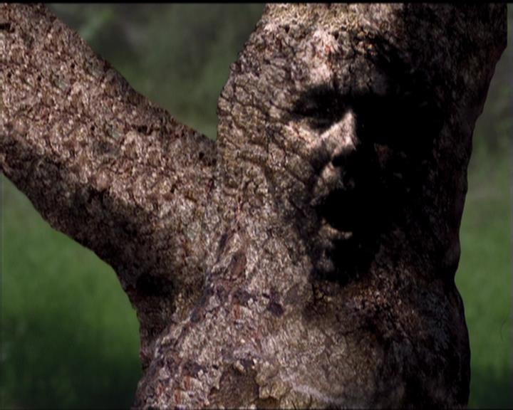 Charmed-Online-dot-519NymphsJustWantToHaveFun2199.jpg Charmed-Online-dot-519NymphsJustWantToHaveFun2199.jpg