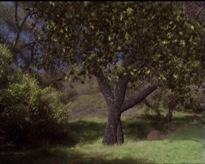 Charmed-Online-dot-519NymphsJustWantToHaveFun2203.jpg Charmed-Online-dot-519NymphsJustWantToHaveFun2203.jpg