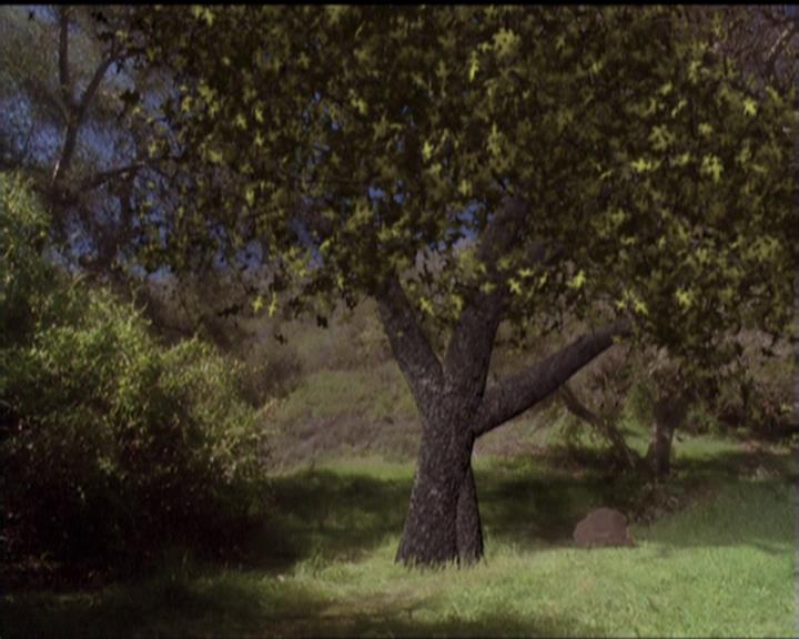 Charmed-Online-dot-519NymphsJustWantToHaveFun2232.jpg Charmed-Online-dot-519NymphsJustWantToHaveFun2232.jpg