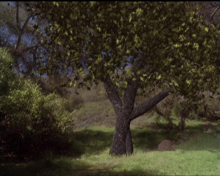 Charmed-Online-dot-519NymphsJustWantToHaveFun2233.jpg Charmed-Online-dot-519NymphsJustWantToHaveFun2233.jpg