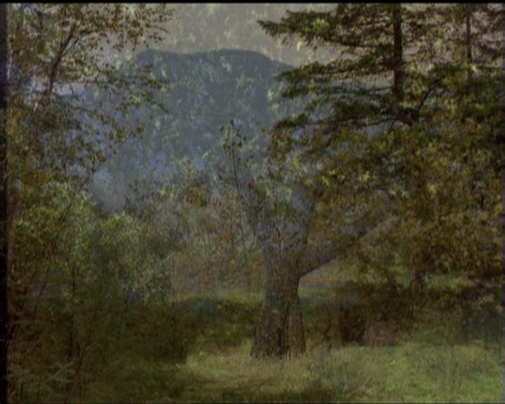 Charmed-Online-dot-519NymphsJustWantToHaveFun2234.jpg Charmed-Online-dot-519NymphsJustWantToHaveFun2234.jpg