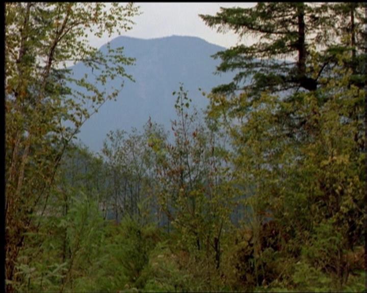 Charmed-Online-dot-519NymphsJustWantToHaveFun2235.jpg Charmed-Online-dot-519NymphsJustWantToHaveFun2235.jpg