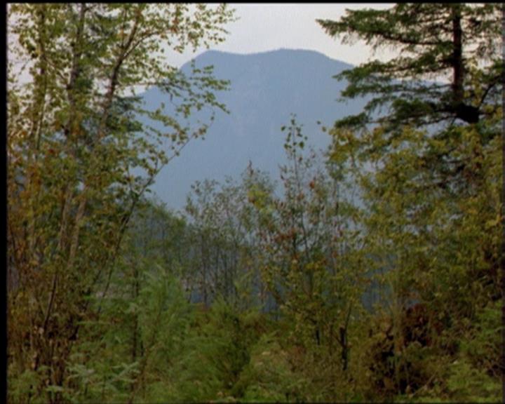 Charmed-Online-dot-519NymphsJustWantToHaveFun2237.jpg Charmed-Online-dot-519NymphsJustWantToHaveFun2237.jpg