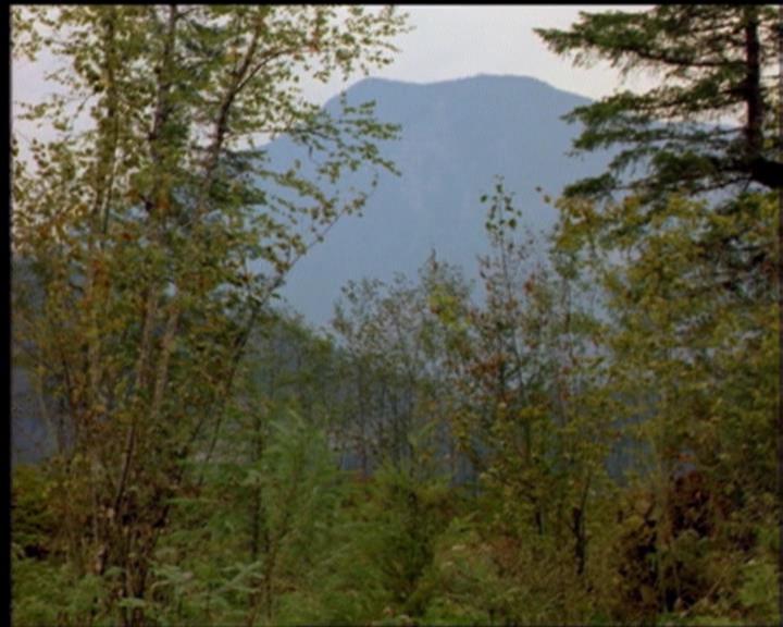 Charmed-Online-dot-519NymphsJustWantToHaveFun2238.jpg Charmed-Online-dot-519NymphsJustWantToHaveFun2238.jpg