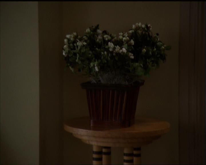 Charmed-Online-dot-519NymphsJustWantToHaveFun2425.jpg Charmed-Online-dot-519NymphsJustWantToHaveFun2425.jpg