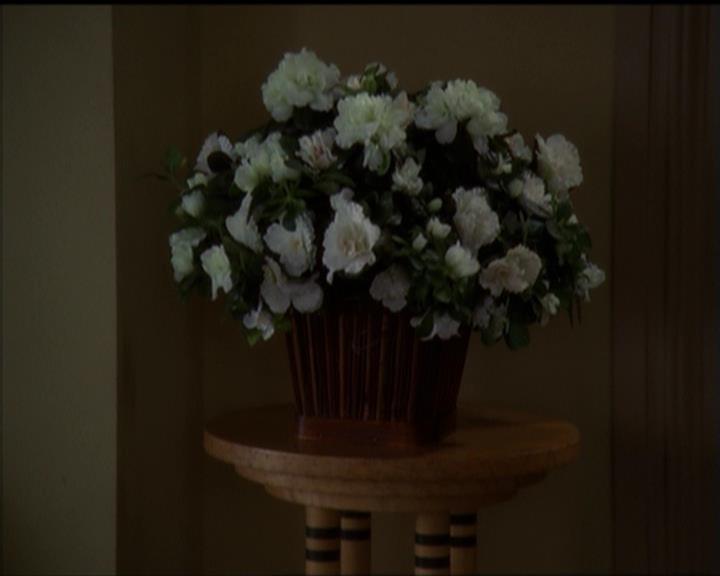 Charmed-Online-dot-519NymphsJustWantToHaveFun2429.jpg Charmed-Online-dot-519NymphsJustWantToHaveFun2429.jpg