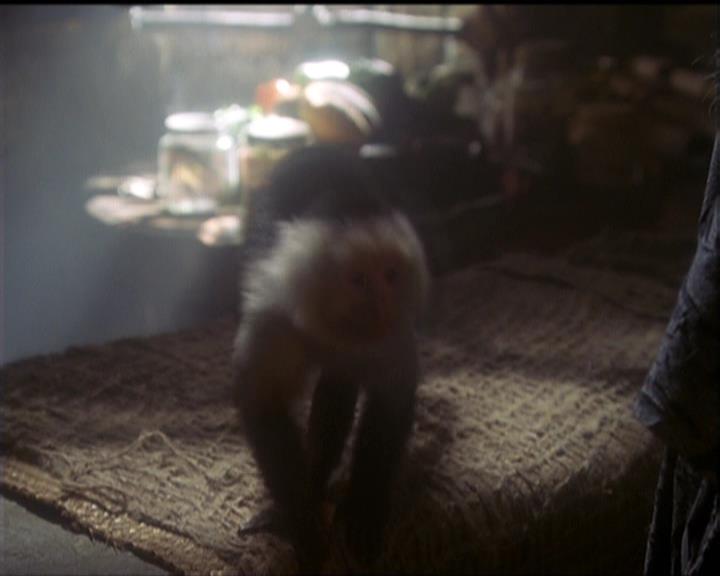 Charmed-Online-dot-net_5x20SenseAndSenseAbility0691.jpg Charmed-Online-dot-net_5x20SenseAndSenseAbility0691.jpg