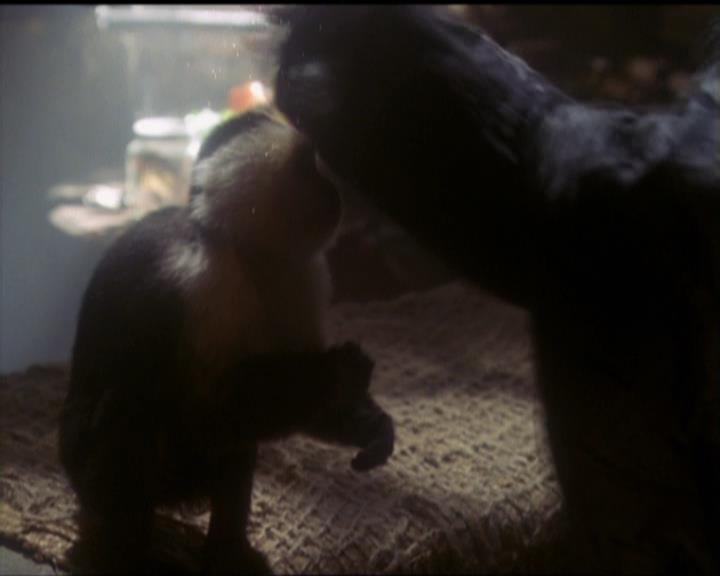 Charmed-Online-dot-net_5x20SenseAndSenseAbility0701.jpg Charmed-Online-dot-net_5x20SenseAndSenseAbility0701.jpg