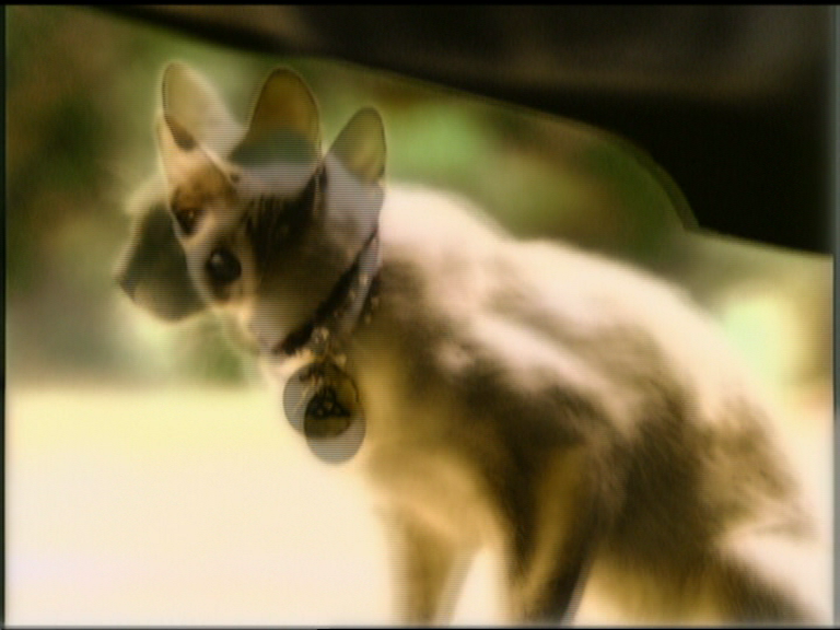 charmed-online_dot_net_OpeningCreditsS5-00055.png charmed-online_dot_net_OpeningCreditsS5-00055.png