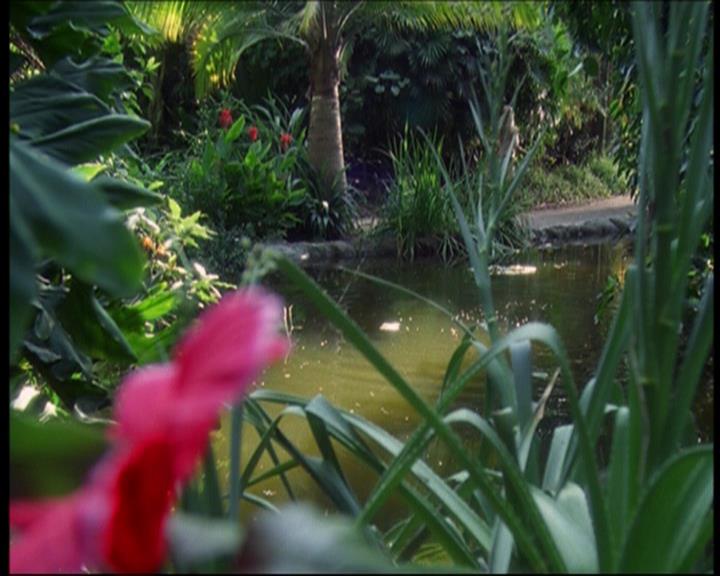 Charmed-Online_dot_net-601ValhalleyoftheDolls0856.jpg Charmed-Online_dot_net-601ValhalleyoftheDolls0856.jpg