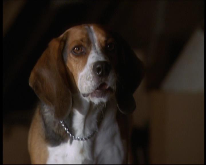 Charmed-Online_dot_net-601ValhalleyoftheDolls1284.jpg Charmed-Online_dot_net-601ValhalleyoftheDolls1284.jpg