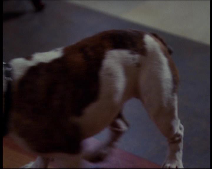 Charmed-Online_dot_net-601ValhalleyoftheDolls1710.jpg