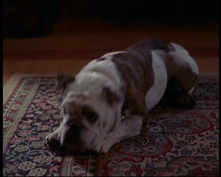 Charmed-Online_dot_net-601ValhalleyoftheDolls1713.jpg Charmed-Online_dot_net-601ValhalleyoftheDolls1713.jpg