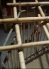 Bestandsnaam=Charmed-Online_dot_net-601ValhalleyoftheDolls1597.jpg
Bestandsgrootte=42KiB
Afmetingen = 720x576
Datum toegevoegd = mei 07, 2014 Charmed-Online_dot_net-601ValhalleyoftheDolls1597.jpg