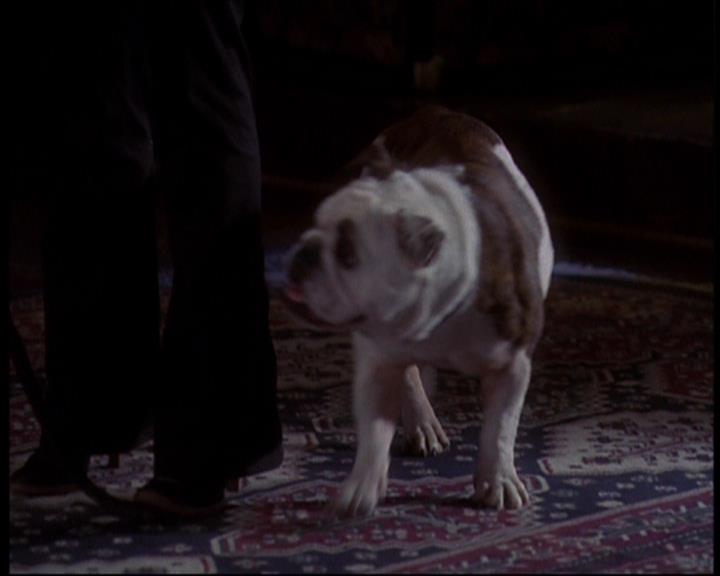 Charmed-Online_dot_net-602Valhalleyofthedolls-part20582.jpg Charmed-Online_dot_net-602Valhalleyofthedolls-part20582.jpg