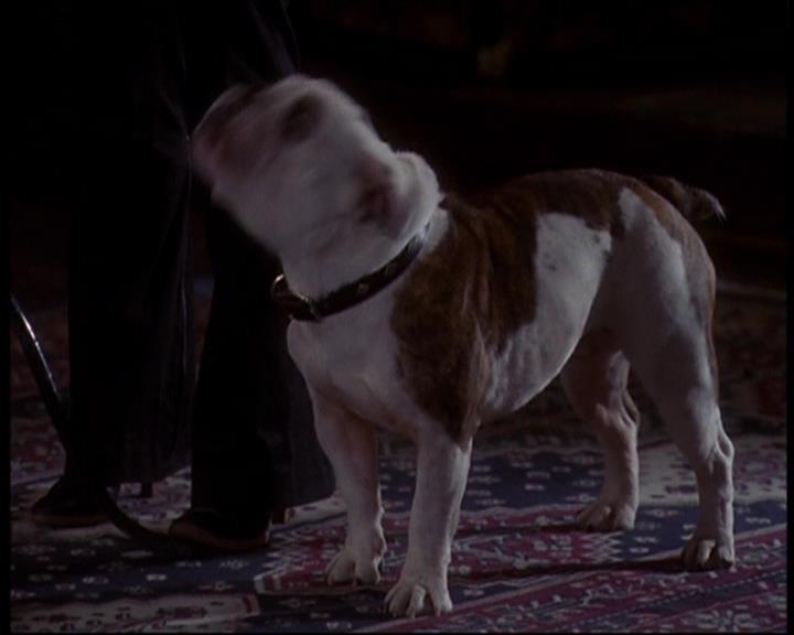 Charmed-Online_dot_net-602Valhalleyofthedolls-part20585.jpg Charmed-Online_dot_net-602Valhalleyofthedolls-part20585.jpg