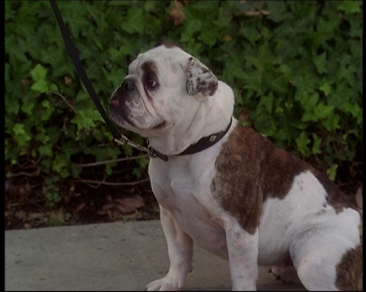 Charmed-Online_dot_net-602Valhalleyofthedolls-part21369.jpg Charmed-Online_dot_net-602Valhalleyofthedolls-part21369.jpg